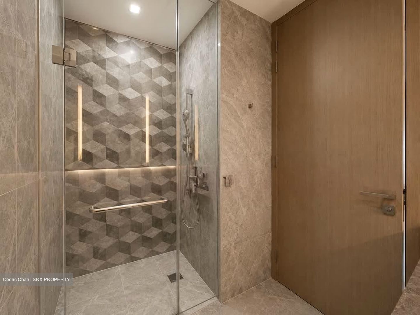 Leedon Green (D10), Condominium #596418361